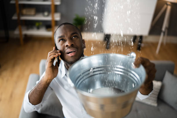 Best Water damage restoration near me  in Lahaina, HI