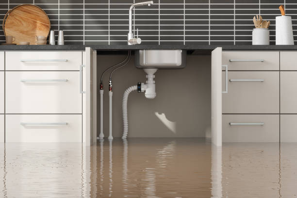 Best Basement water damage restoration  in Lahaina, HI