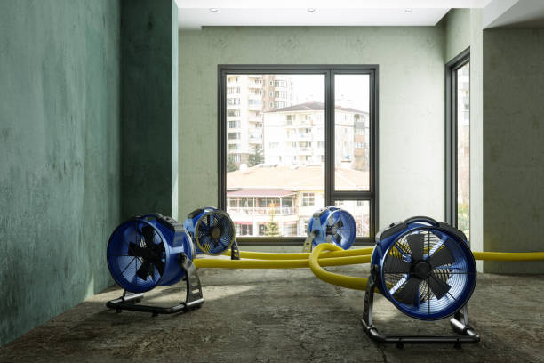  Lahaina, HI Water damage restoration Pros