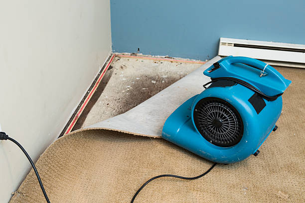 Best Sewage cleanup and water damage restoration  in Lahaina, HI