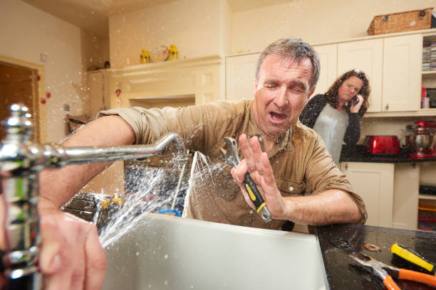 Best Water damage contractors near me  in Lahaina, HI